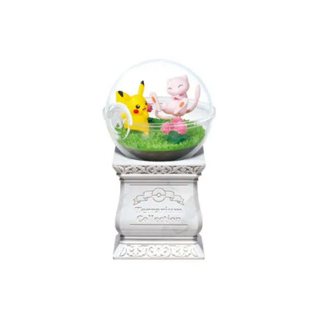 Terrarium Collection 15