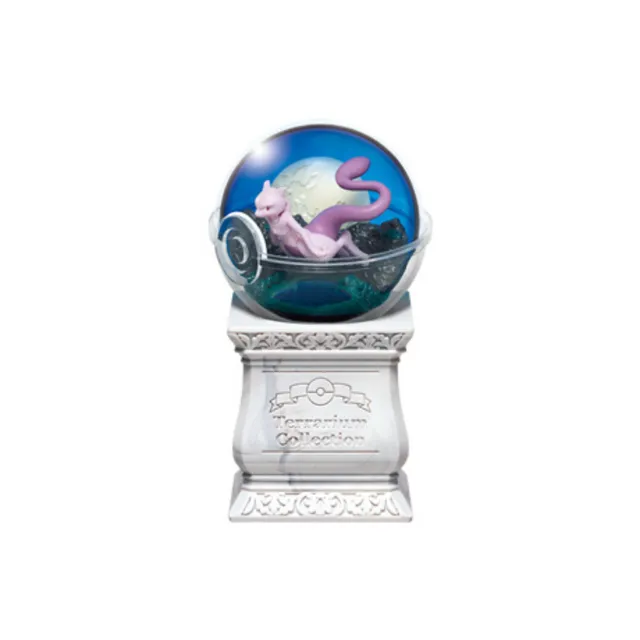 Terrarium Collection 15