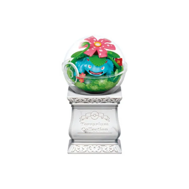 Terrarium Collection 15