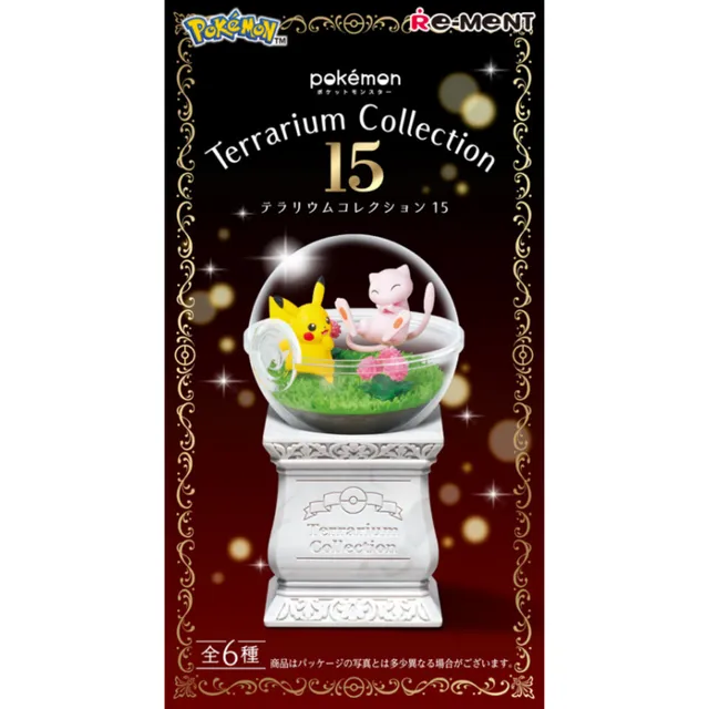 Terrarium Collection 15